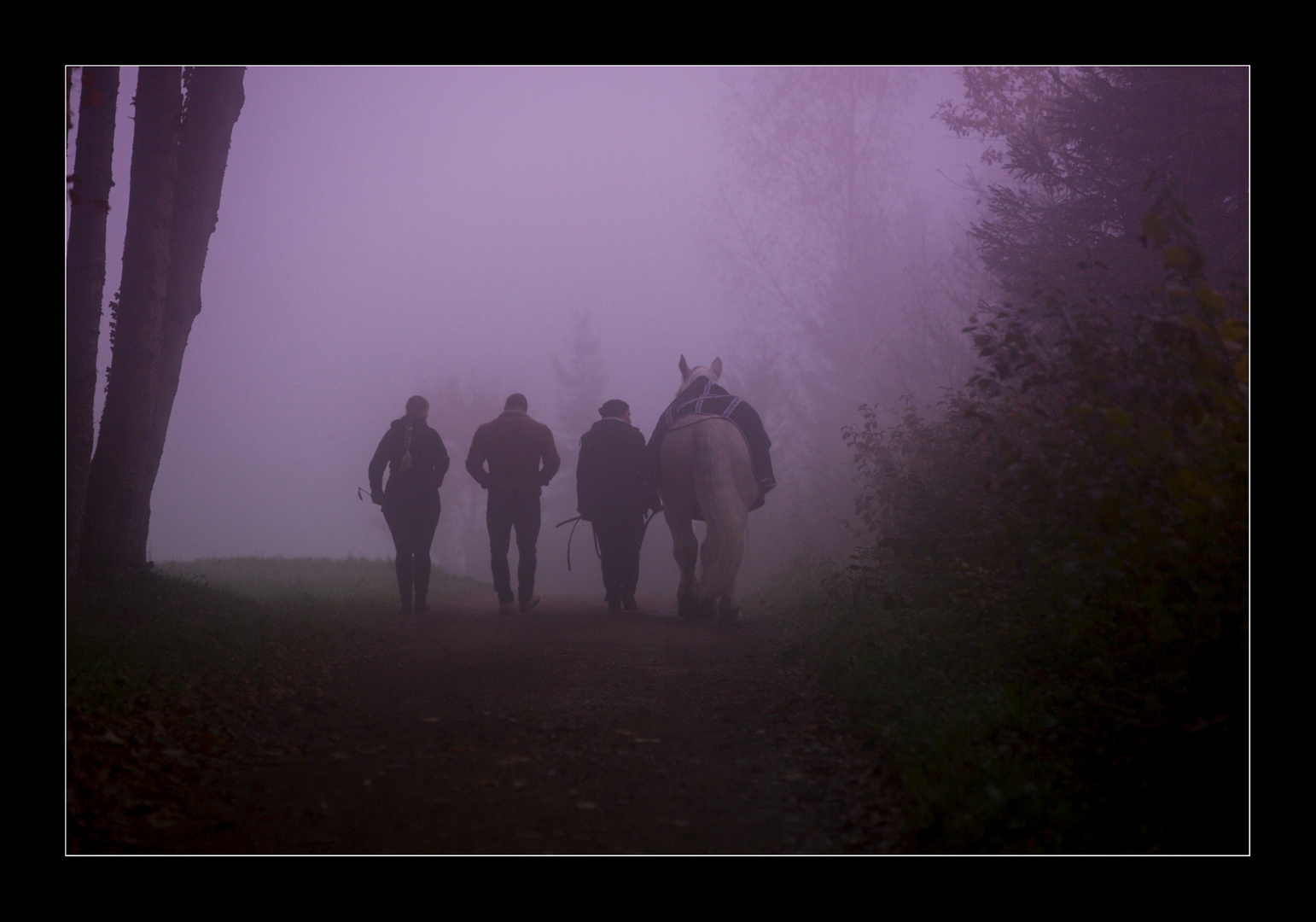 Herbstspaziergang mit Pferd.