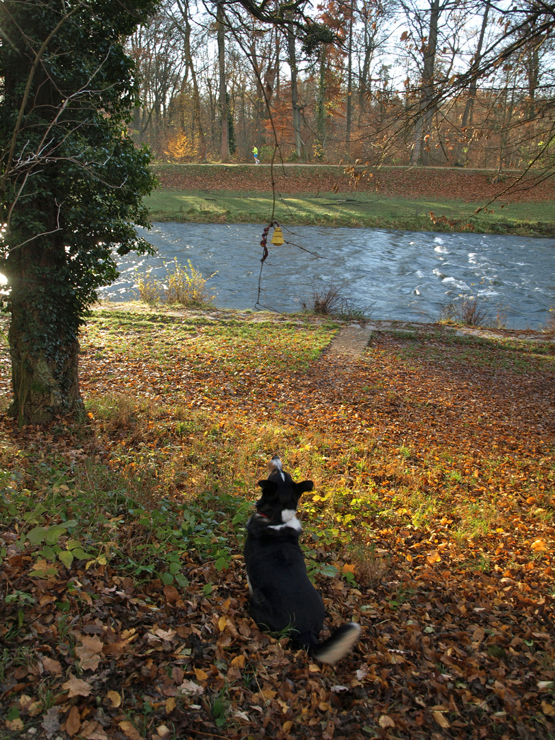 Herbstspaziergang mit Zwischenhalt:-)))