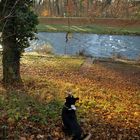 Herbstspaziergang mit Zwischenhalt:-)))