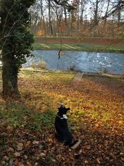 Herbstspaziergang mit Zwischenhalt:-)))