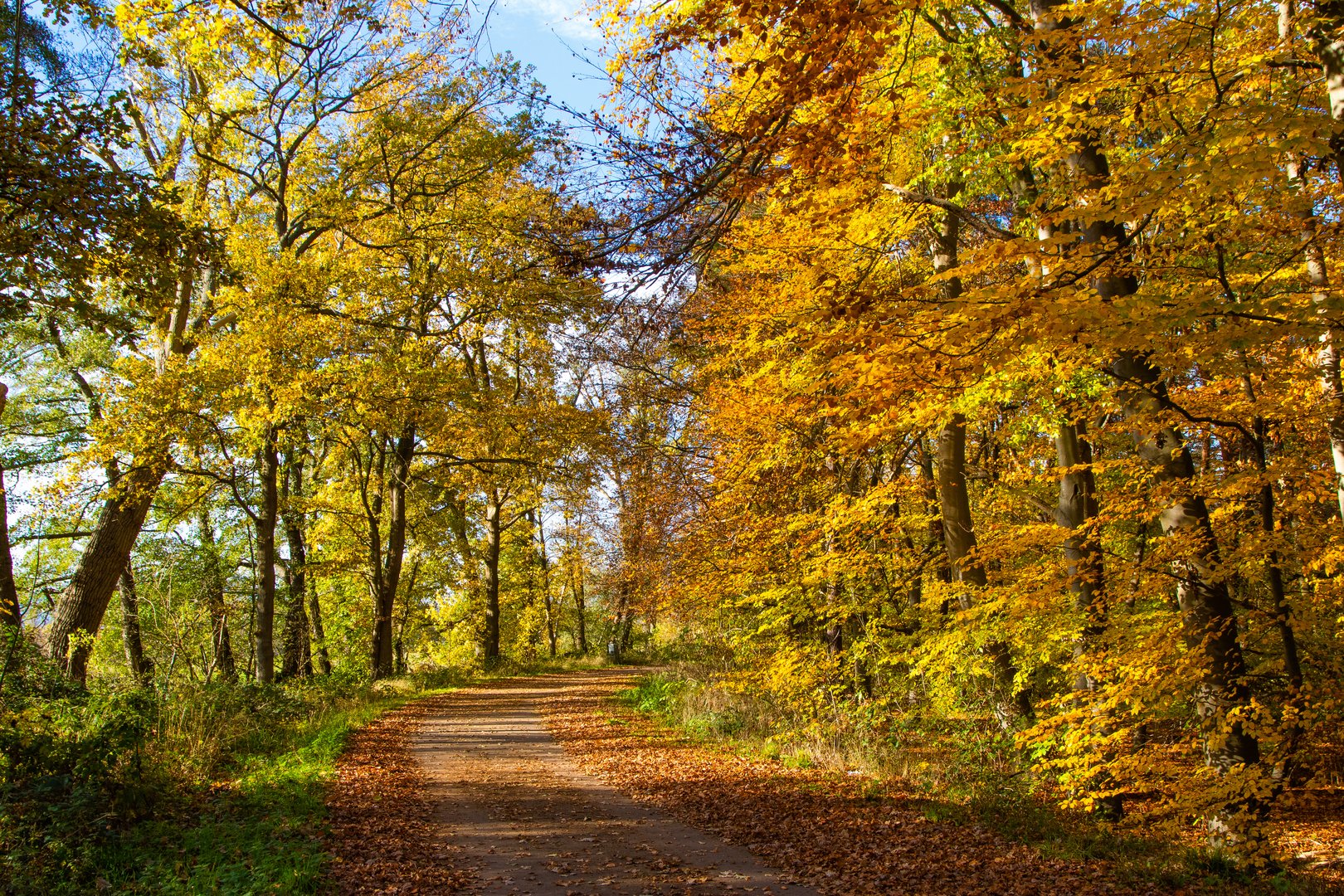 Herbstspaziergang No. 1