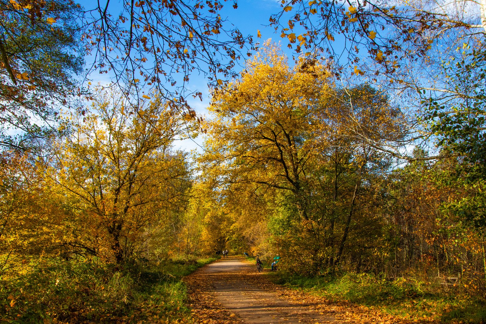 Herbstspaziergang No.2