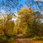 Herbstspaziergang No.2