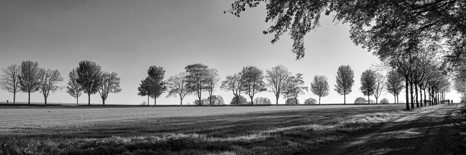 Herbstspaziergang sw