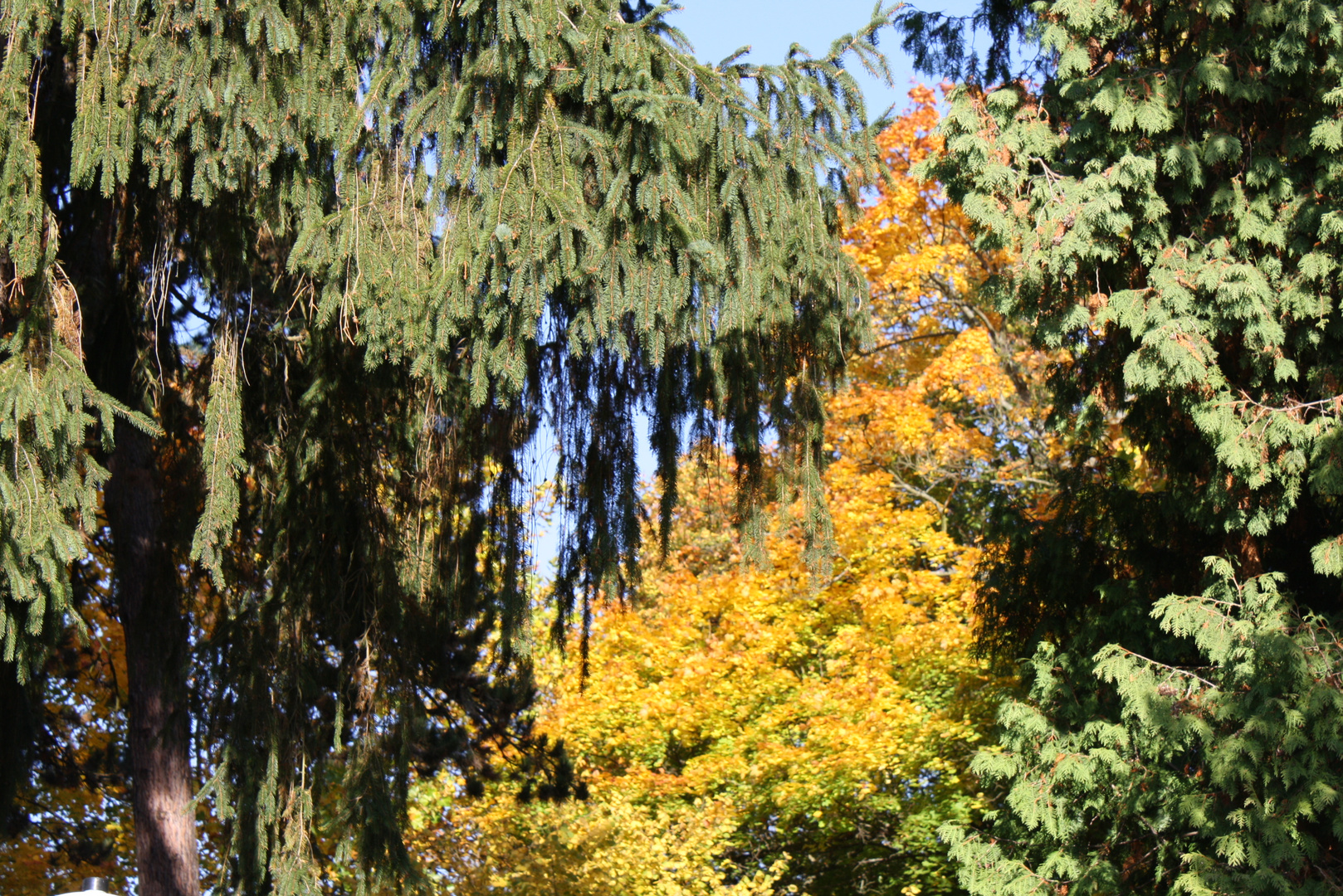 Herbstspaziergang Teil 1