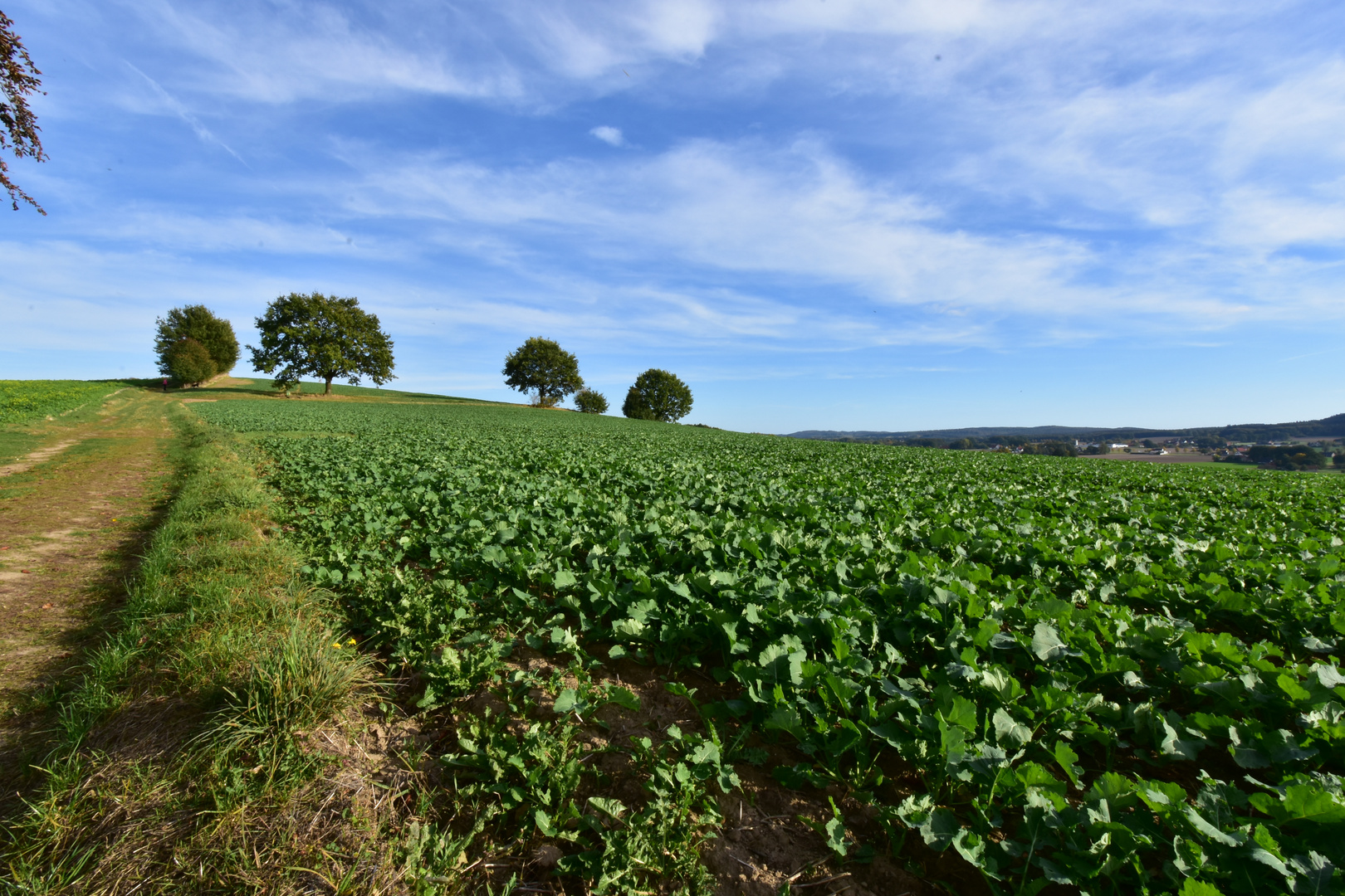 Herbstspaziergang (unbearbeitet)