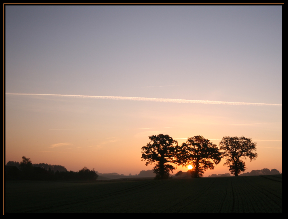 Herbstspaziergang V