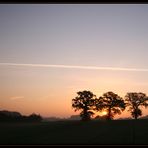 Herbstspaziergang V