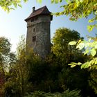 Herbstspaziergang zur Burg Sponeck