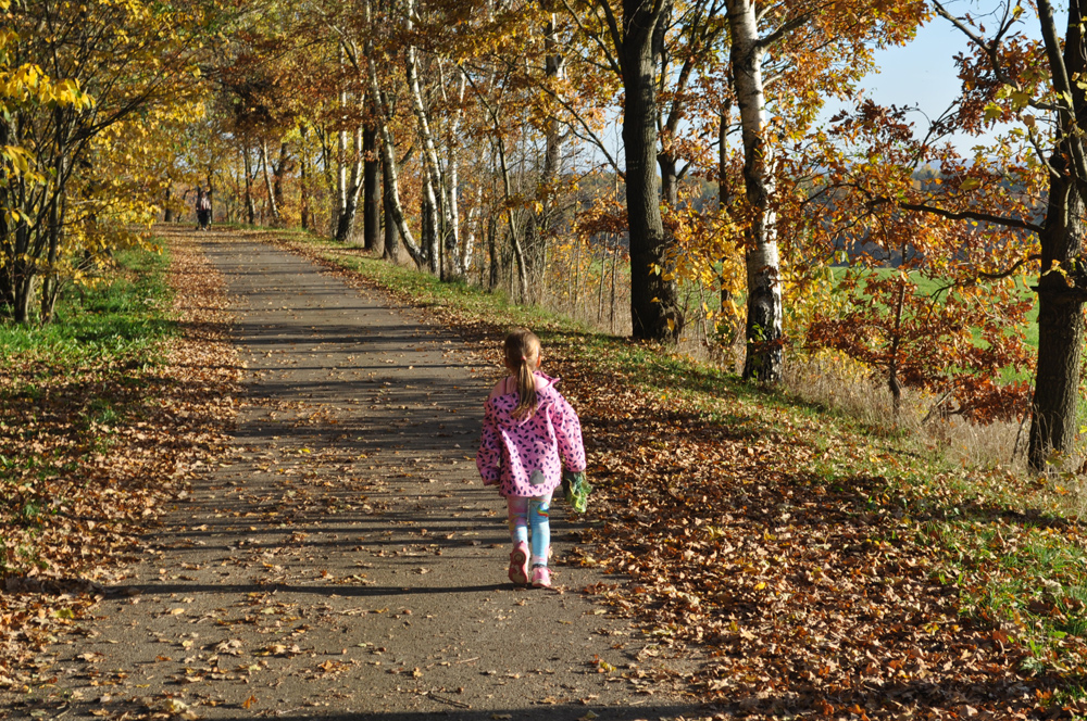 Herbstspaziergang_1