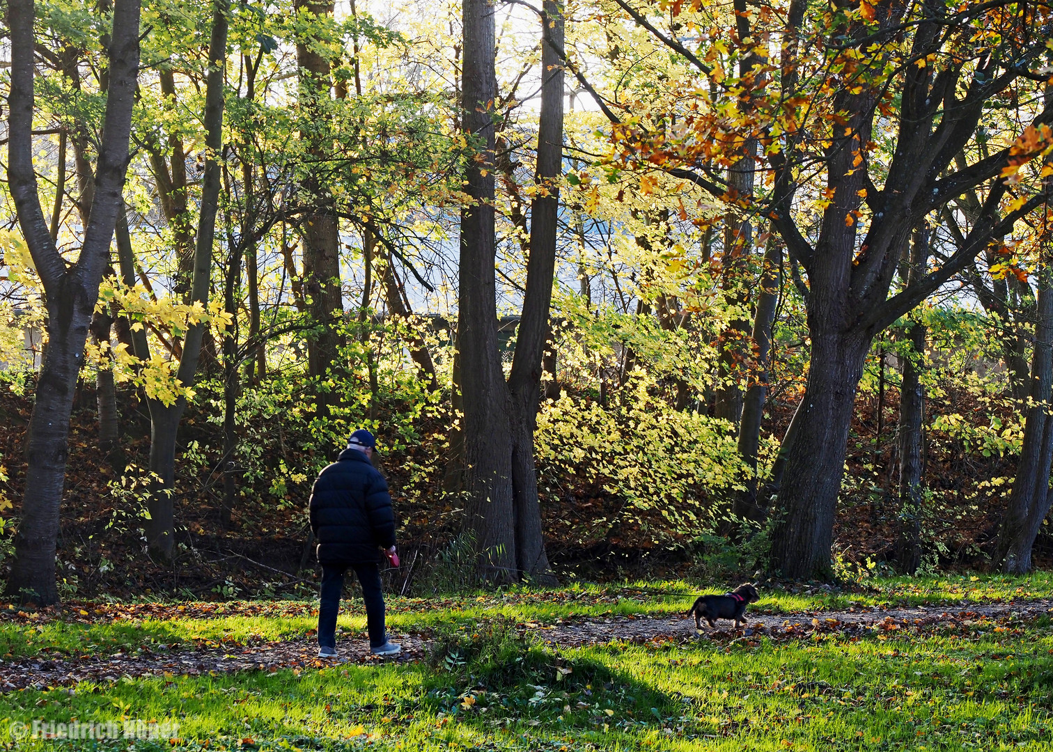 Herbstspaziergang_2