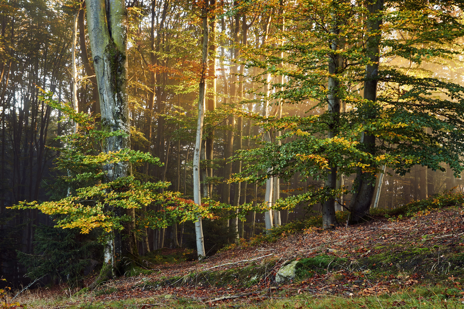 Herbstspaziergang_2