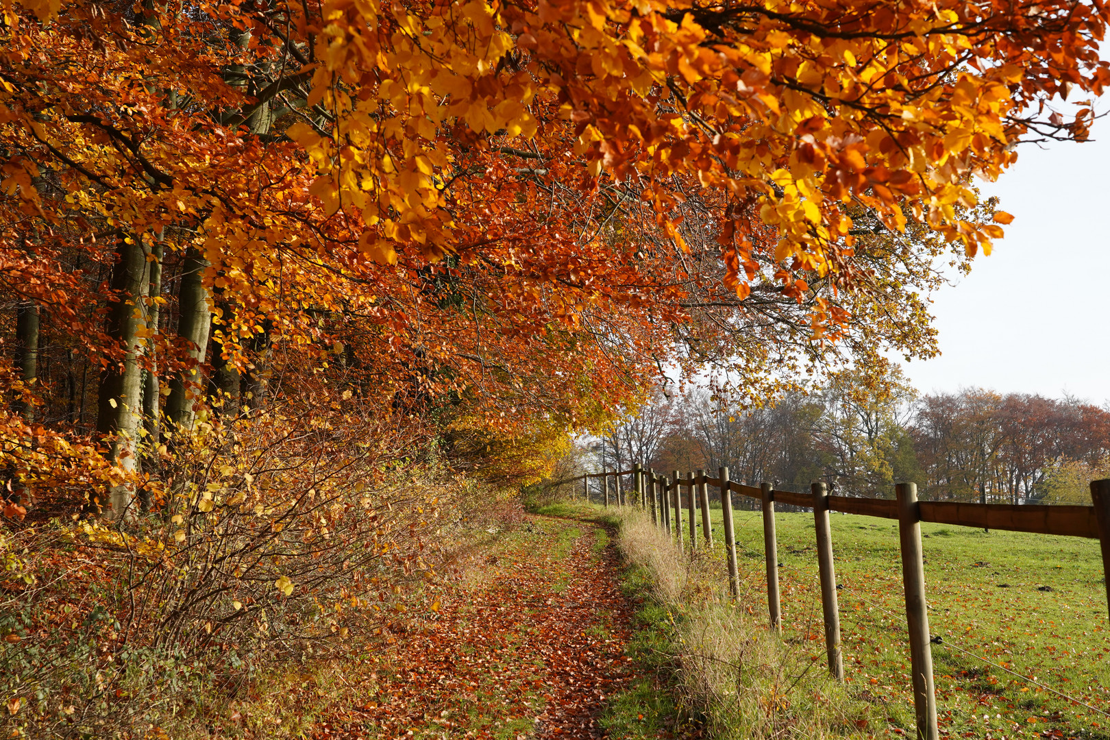 Herbstspaziergang2