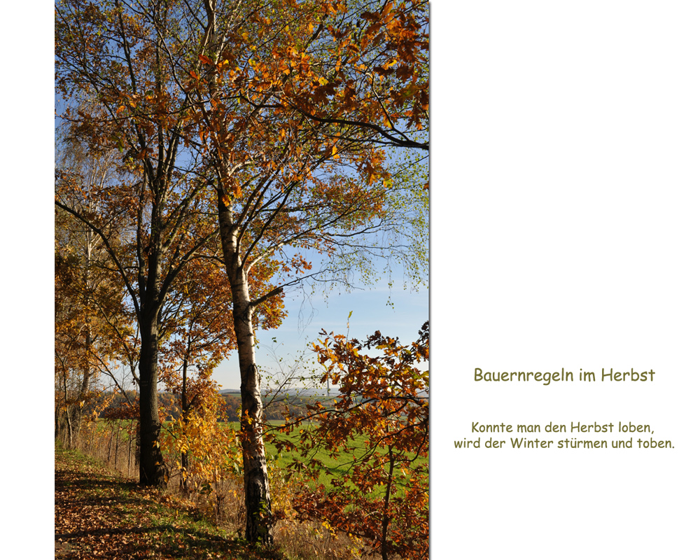 Herbstspaziergang_2