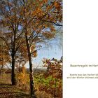 Herbstspaziergang_2