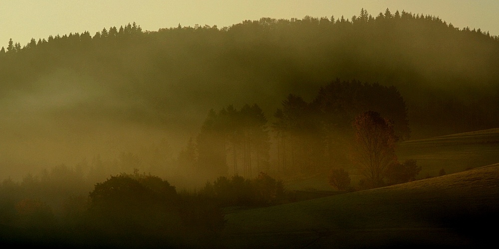 Herbstspaziergang_6