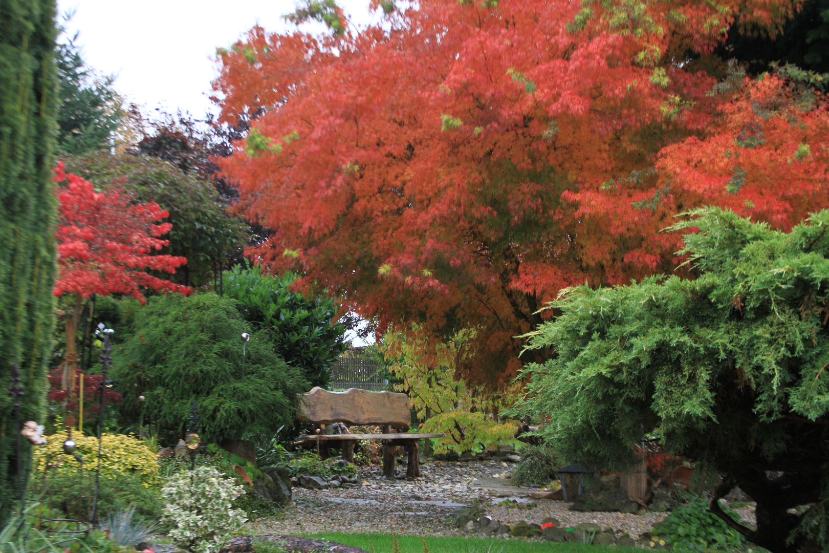 Herbstspektakel im Garten