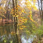 Herbstspiedelung ...