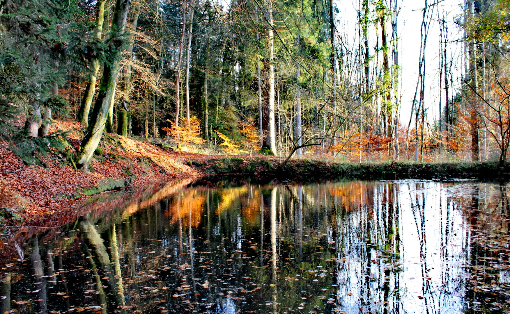 Herbstspiegel