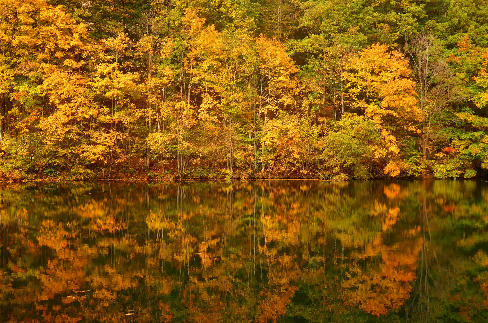 Herbstspiegel