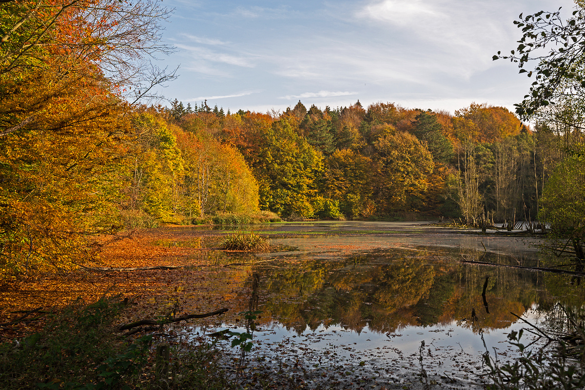 Herbstspiegel ....