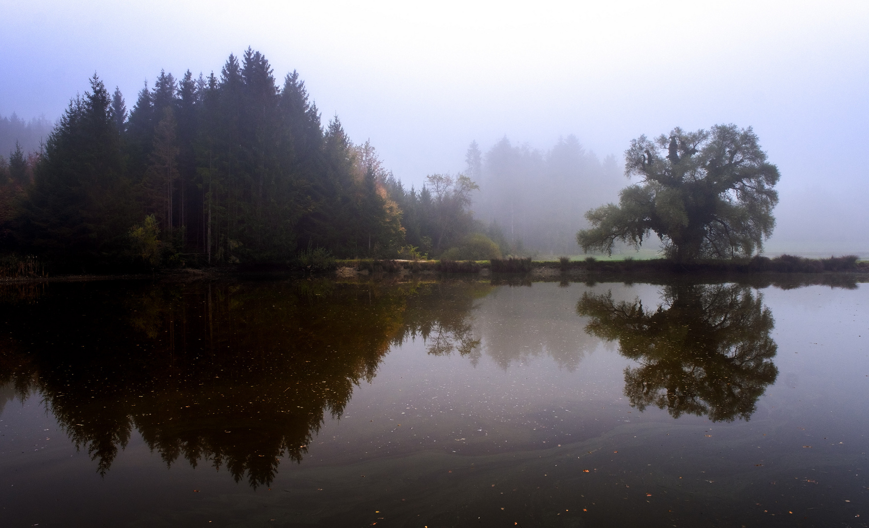 Herbstspiegel