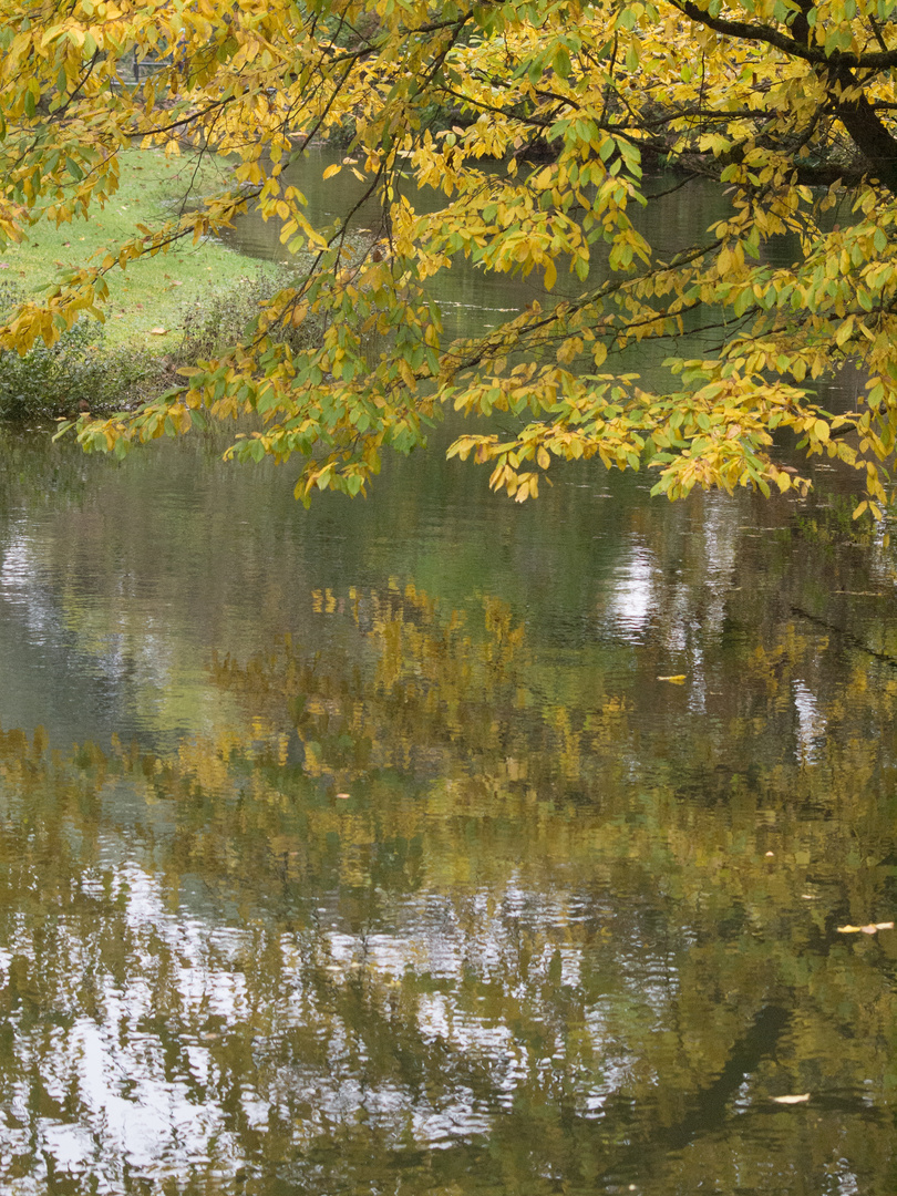 Herbstspiegel