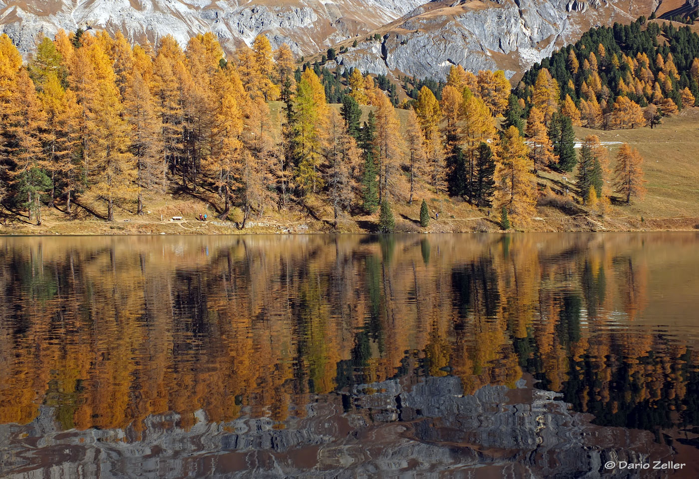 Herbstspiegel