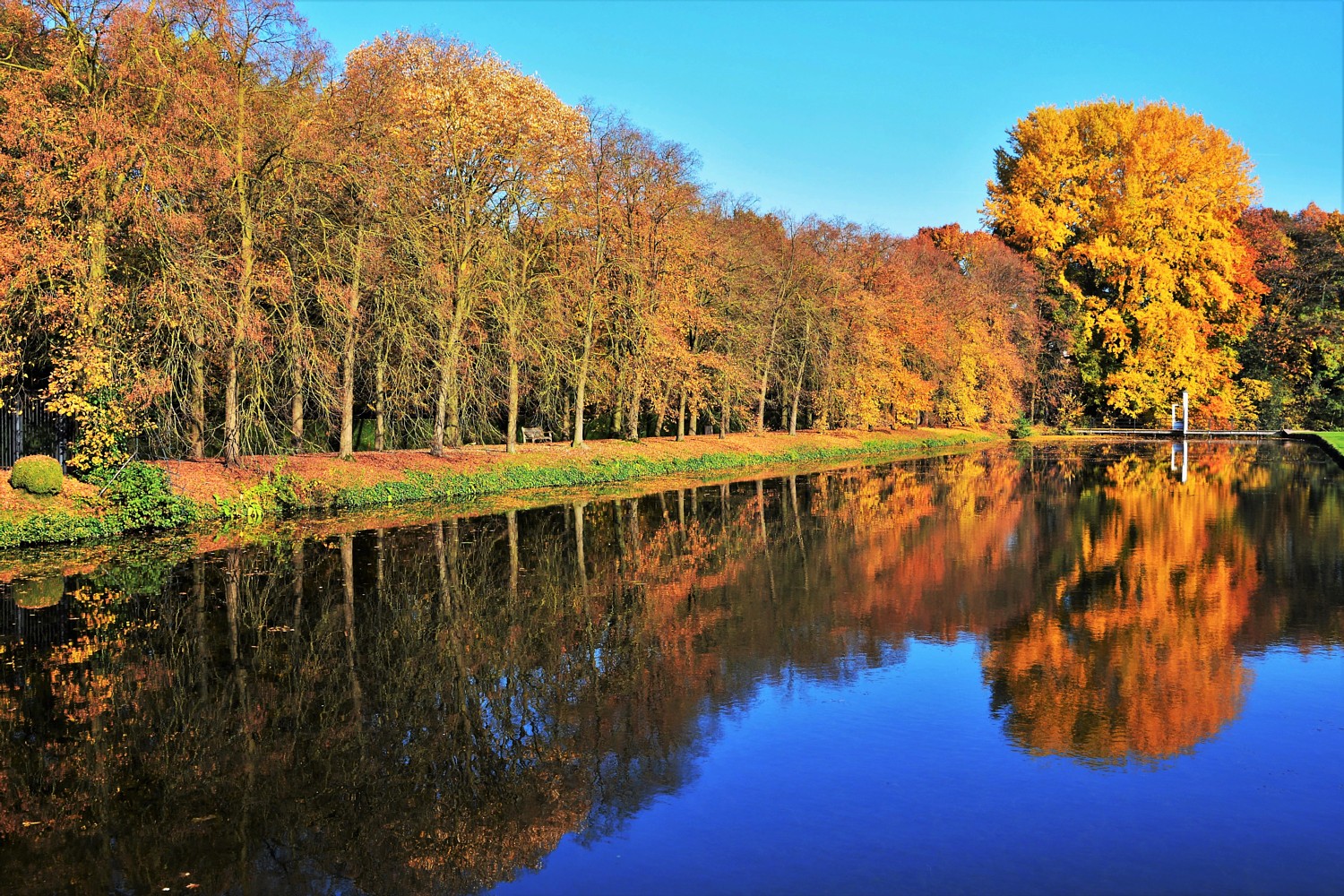 Herbstspiegel