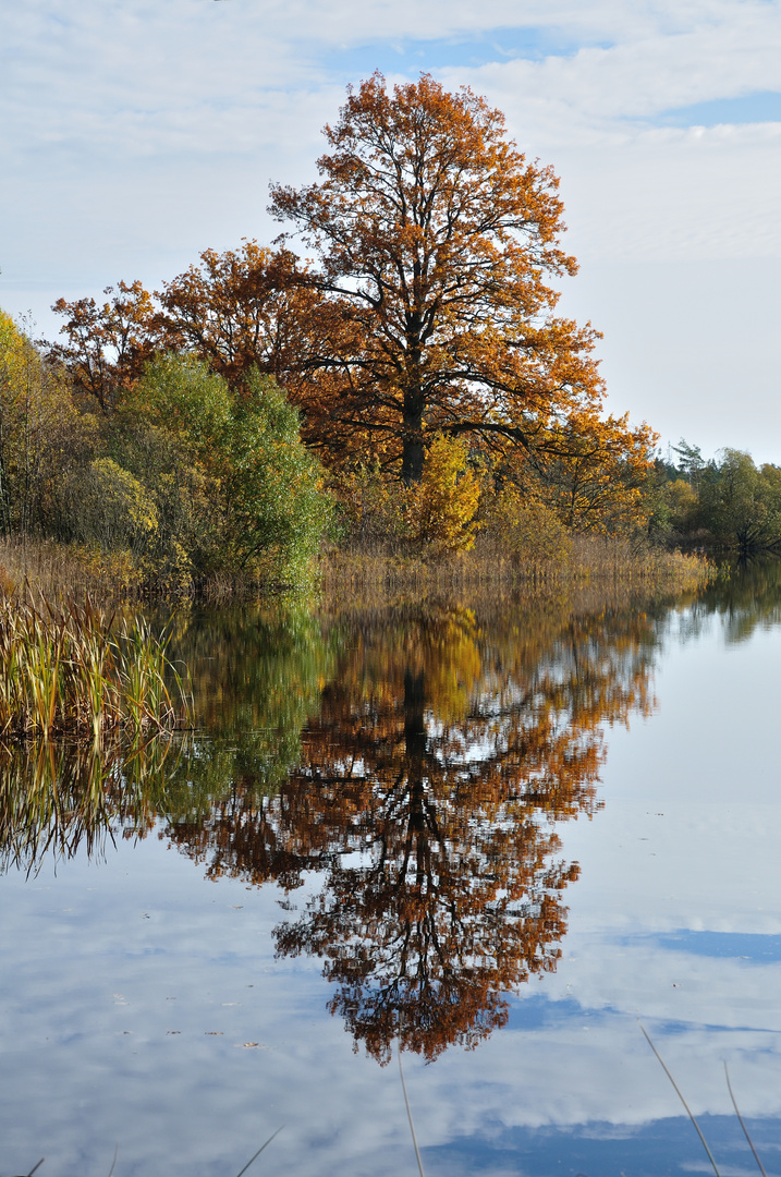 Herbstspiegel