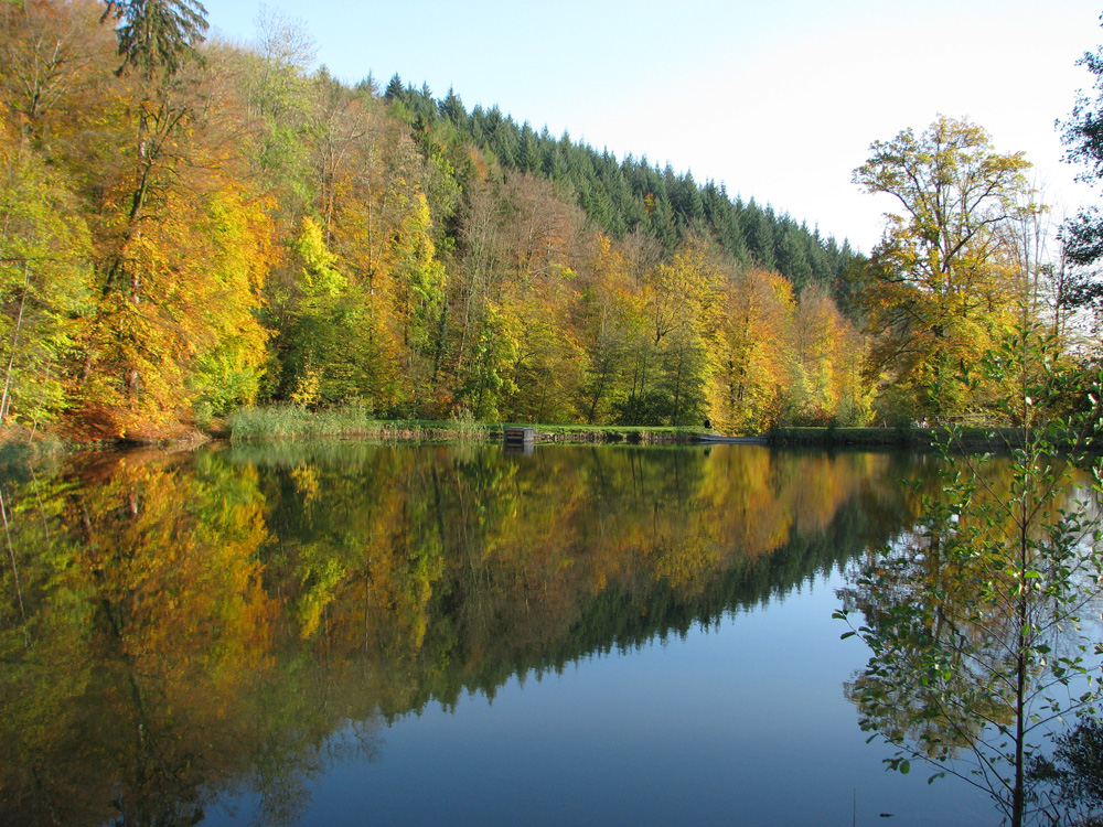 Herbstspiegel