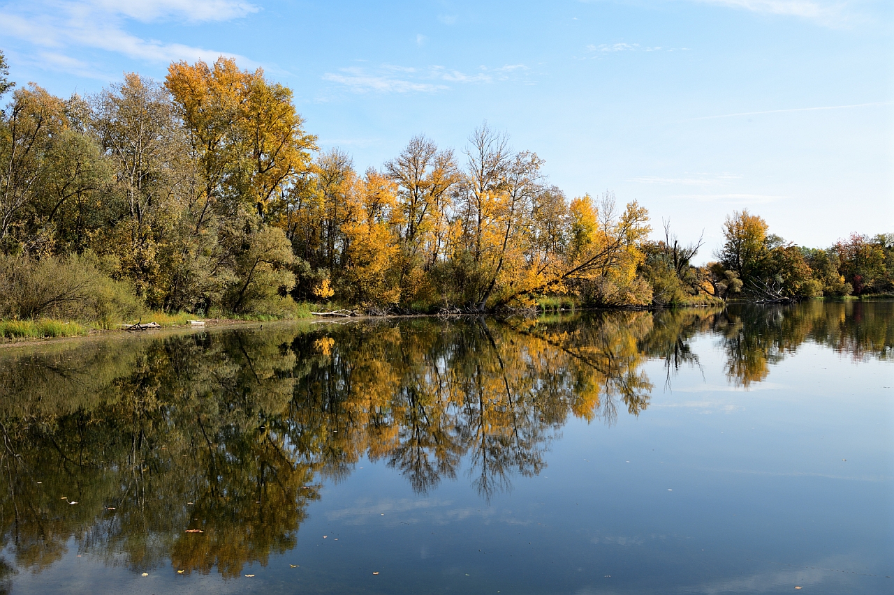 Herbstspiegel am See,  mirror of Autumn at the lake, espejo del otoño en el lago