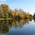 Herbstspiegel am See,  mirror of Autumn at the lake, espejo del otoño en el lago