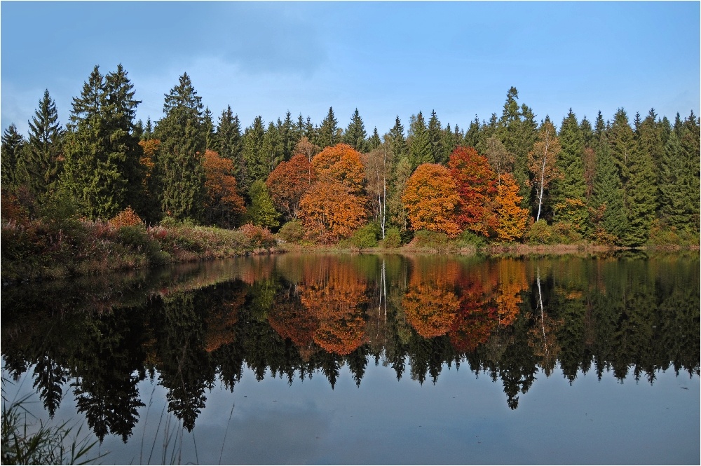 Herbstspiegel