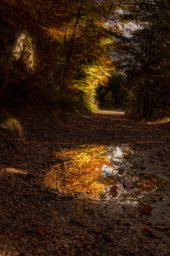 Herbstspiegel