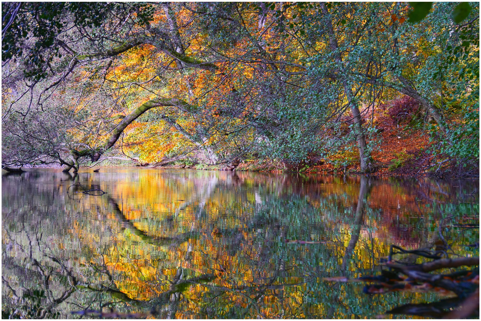 Herbstspiegel