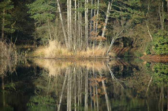 Herbstspiegel