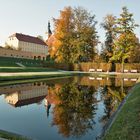 Herbstspiegelei...