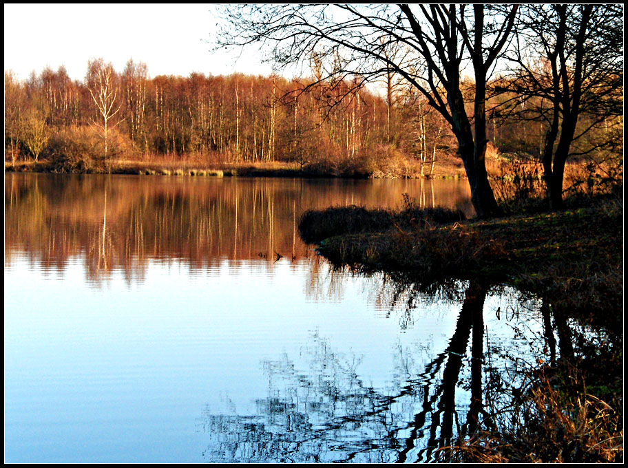 Herbstspiegelei 