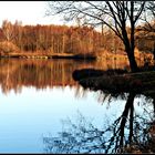 Herbstspiegelei 