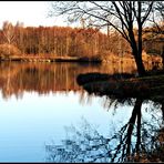 Herbstspiegelei 