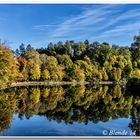 Herbstspiegelung