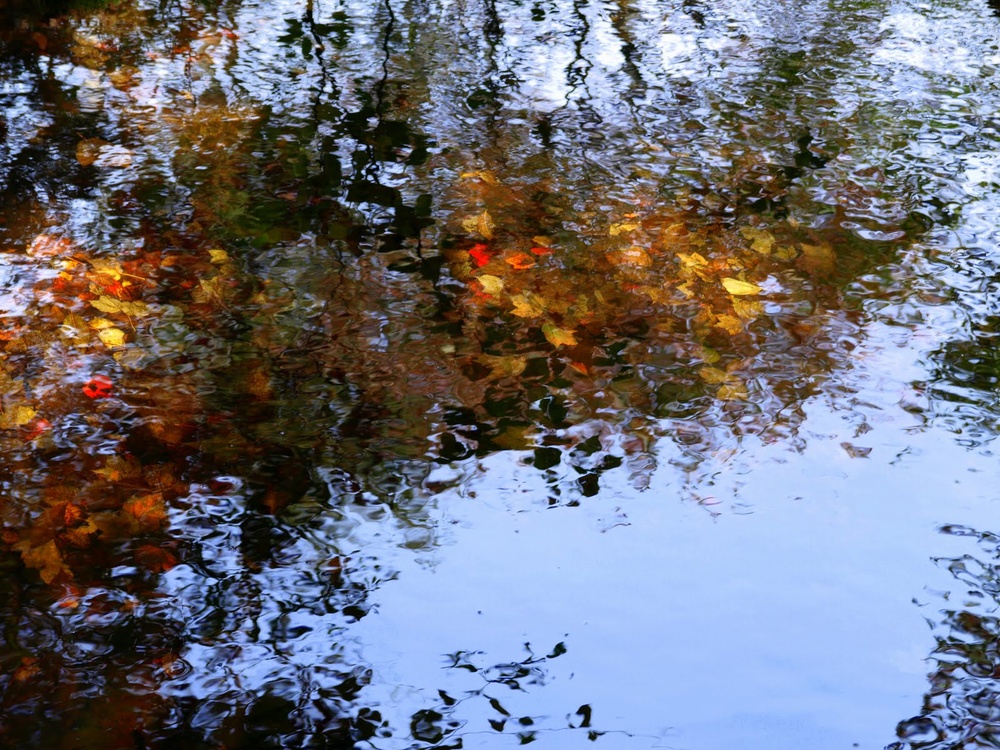 Herbstspiegelung