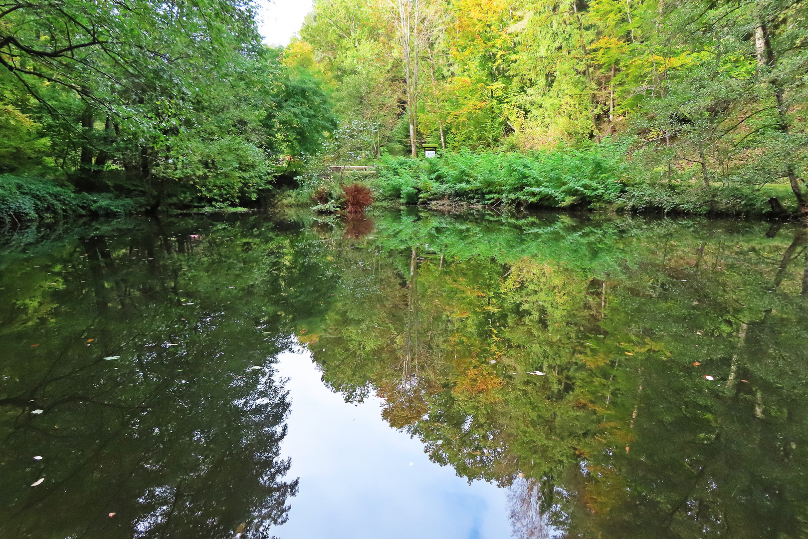 Herbstspiegelung