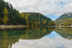 Herbstspiegelung