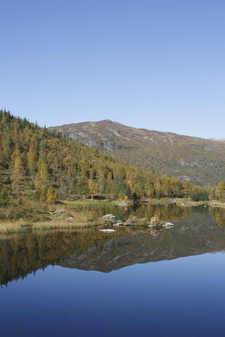 Herbstspiegelung 2