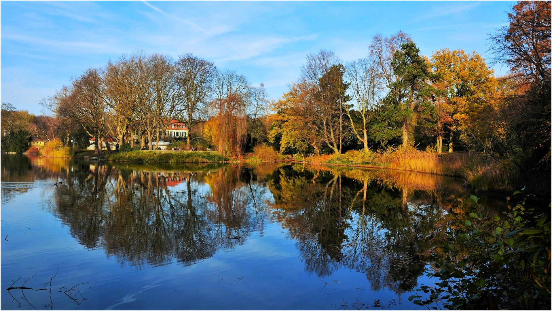 Herbstspiegelung (2)