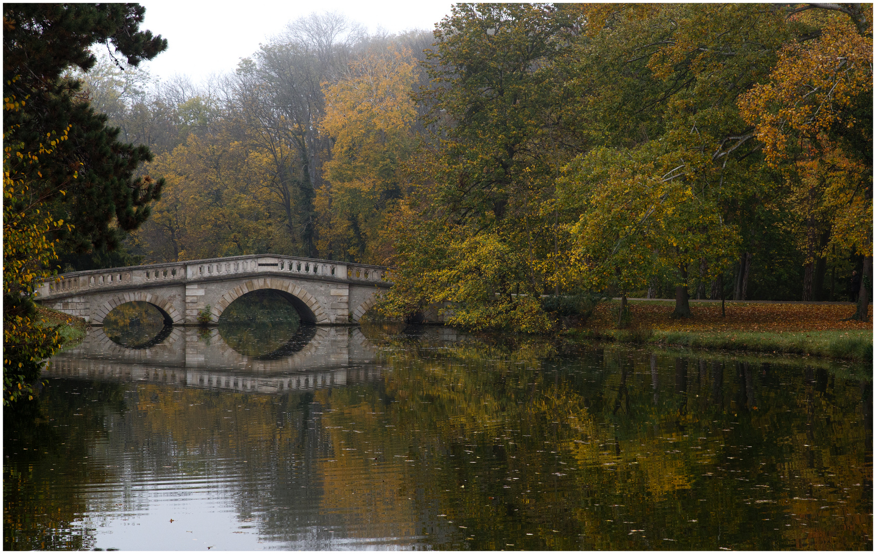 Herbstspiegelung