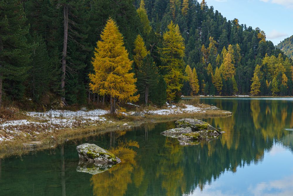 Herbstspiegelung