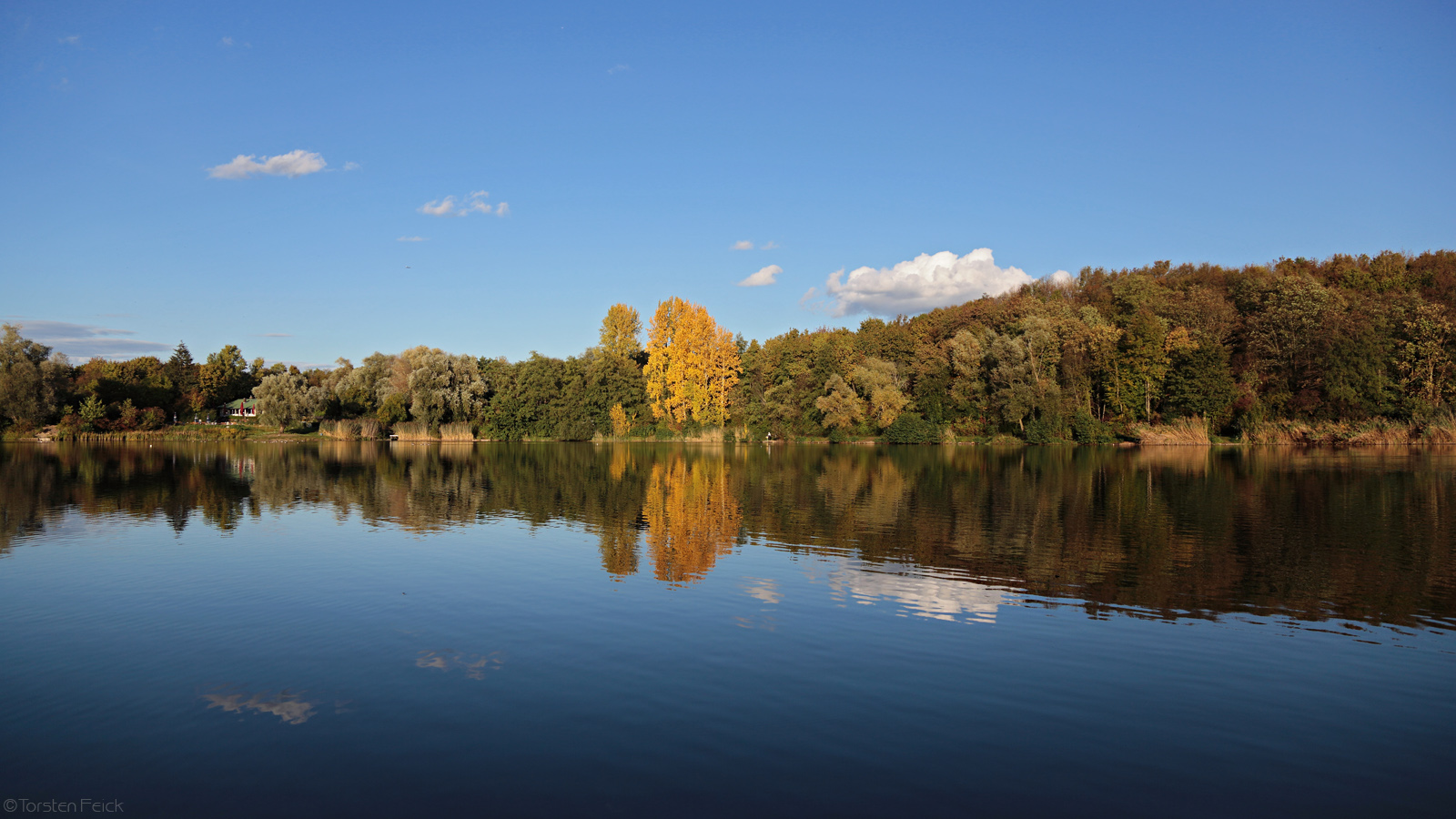 Herbstspiegelung